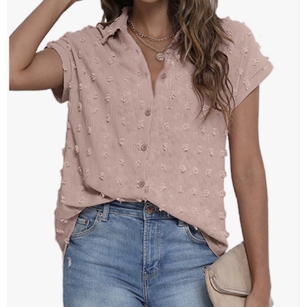 Bothenial Chiffon Button Down Shirt WMNS large Pink Swiss Dot Romantic Parisian